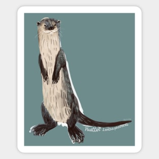 Huillin river otter 2 Sticker